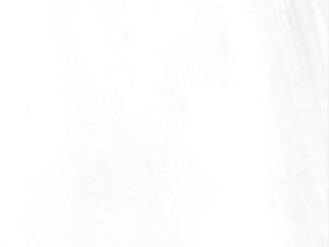 Bianco Dolomite Marble Polished and Honed